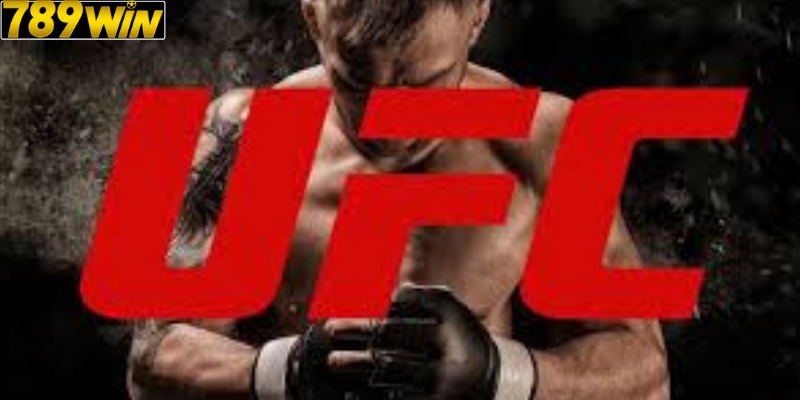 Cá Độ UFC – Kinh Nghiệm Bắt Kèo Chênh Lệch Chính Xác Nhất 2025