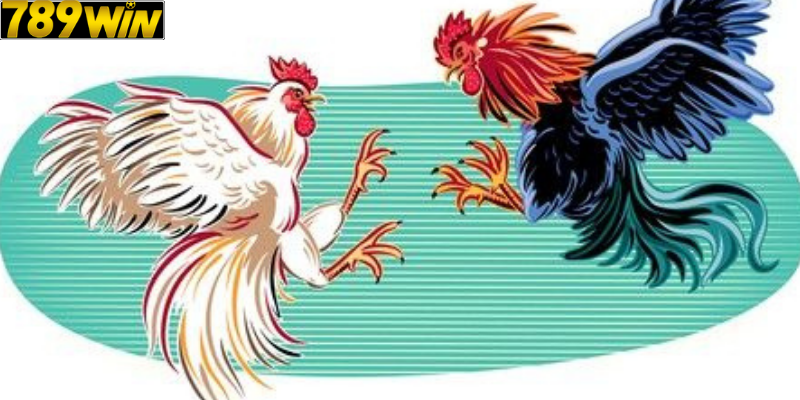 Hệ thống trường gà phong phú tại 789win – Trải nghiệm đa dạng không giới hạn